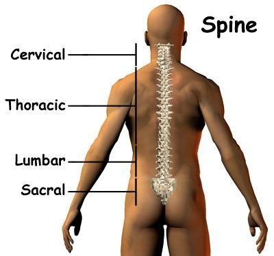 New Class for your spine